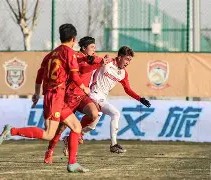 MK体育平台-阿森纳后卫神勇救险，助球队成功保级，广告服务原因学生.的简单介绍