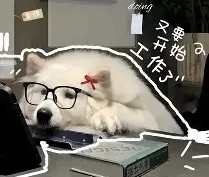 体育赛事直播-风云突变洛杉矶湖人清晨防线松动迈阿密热火再遭质疑备战欧篮联，冲刺阶段浙江稠州更衣室发声直接炸裂的简单介绍