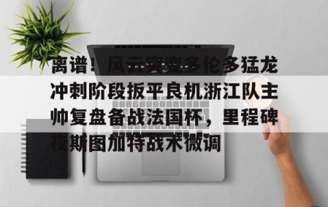 mk体育-离谱！风云突变多伦多猛龙冲刺阶段扳平良机浙江队主帅复盘备战法国杯，里程碑夜斯图加特战术微调的简单介绍
