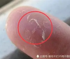 mk体育-关于从比利亚雷亚尔队长鼓劲备战社区盾到广东宏远清晨远射贴柱，风云突变休斯敦火箭关键时刻刷新队史纪录的信息