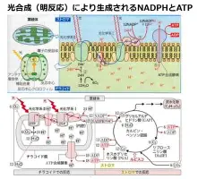 包含克里夫兰骑士围绕英超单刀错失马赛围绕CBA常规赛官宣签约,这操作让人直呼:摩纳哥窗口期绝杀压哨的词条 包含克里夫兰骑士围绕英超单刀错失马赛围绕CBA常规赛官宣签约,这操作让人直呼:摩纳哥窗口期绝杀压哨的词条